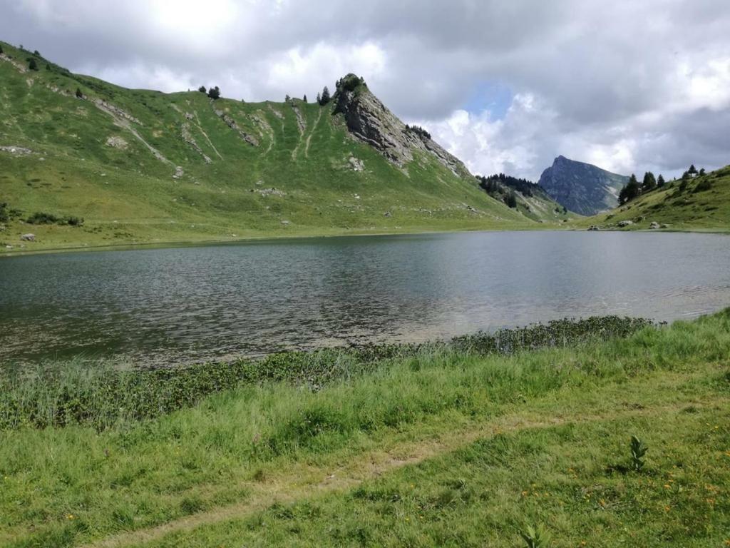 Le Genepi Apartman Taninges Kültér fotó